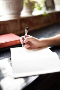 Argument Essay writing help Premier write my paper website