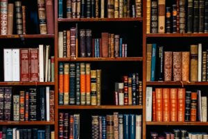 Argument Essay writing help UK Law Essay Writing Service